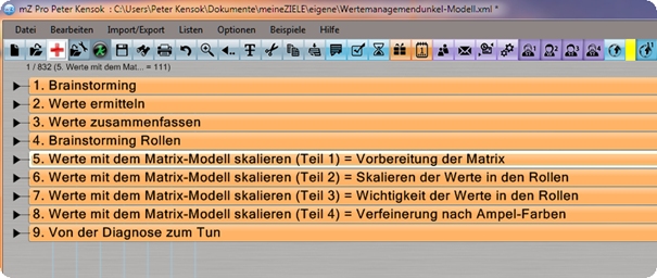 Wertemanagement meineZIELE