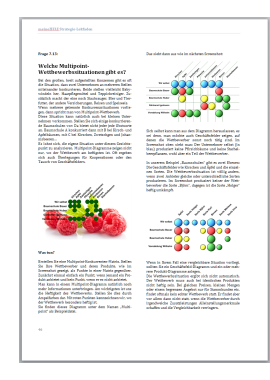 Seite 46 des Strategie-Leitfadens